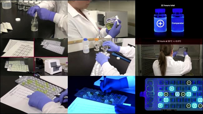 Colilert-18 analysis example steps. 
