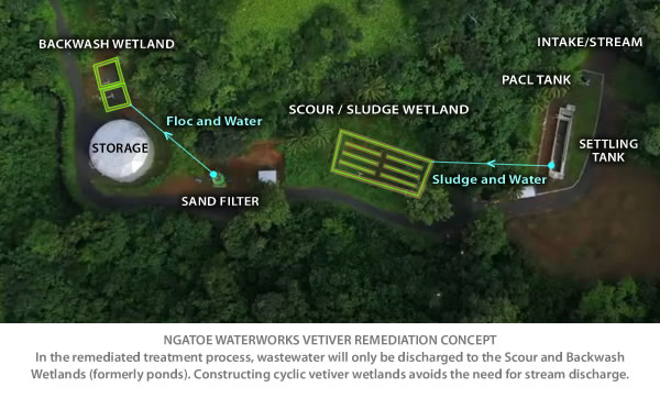Te Mato Vai: Vetiver Cyclic Wetland Concept