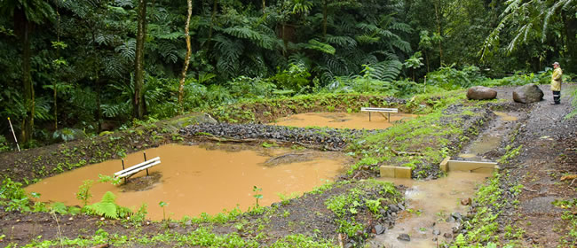 Turangi PACl sludge ponds, August 2020. 