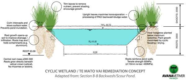 Cyclic Wetland: Te Mato Vai Remediation Concept. 