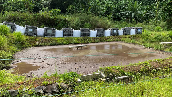 Papua sludge ponds and sludge storage cages, Nov 2021. 