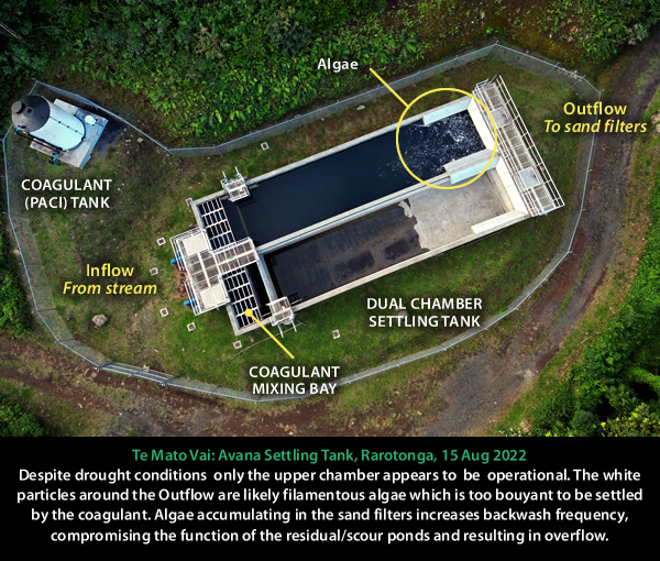 Algae in the Avana settling tank, 15 Aug 2022.