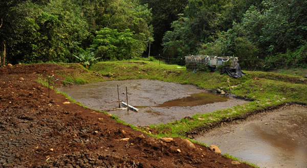 Sludge drying platform, Avana.