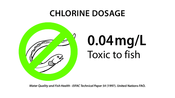 A chlorine residual concentration of 0.04-0.2mg/L is considered toxic to the majority of fish species. 