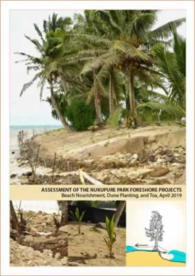 Assessment of the Nukupure Park Foreshore Projects: Beach Nourishment, Dune Planting, and Toa (April 2019).